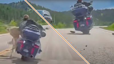 Watch a Motorcyclist Smash Into a Deer at High-Speed But Somehow Not Crash