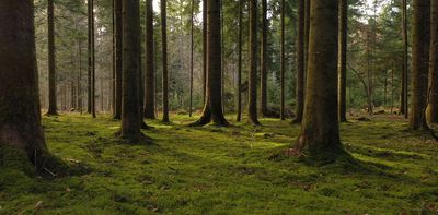 New start date for the Anthropocene proposed – when humans first changed global methane levels