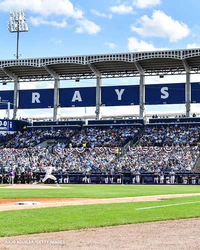 Tampa Bay Rays Roar Back On and Off the Field as Billionaire Bid Fuels Local Revival Hopes