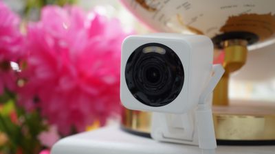 Adding smart home security cameras only makes your home 14% more secure –but that's not why I get them!