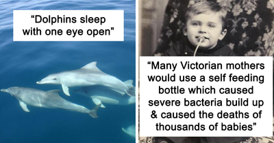 31 New ‘Today I Learned’ Facts That Prove It’s Never Too Late To Learn Something New