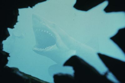 Think you know 'Jaws'? Test your knowledge with this trivia ahead of the movie's 50th anniversary