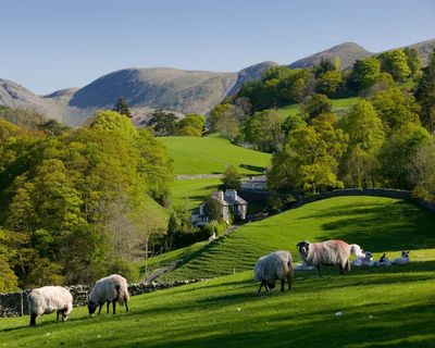 Ending sheep farming in the Lake District is not our aim