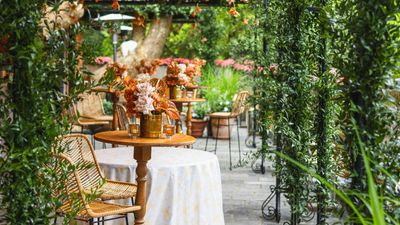 I can't wait to see my friends' reactions when I try out these expert-recommended garden party themes at my next gathering