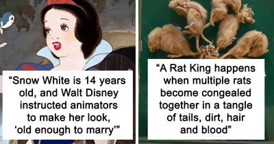 Someone Asked “What Is A Fun Fact That Is Mildly Disturbing?” And 14 People Delivered