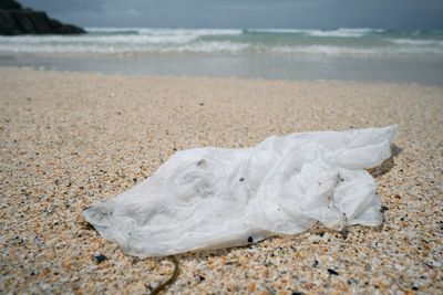 Charging for plastic shopping bags can actually lead to cleaner beaches, study shows