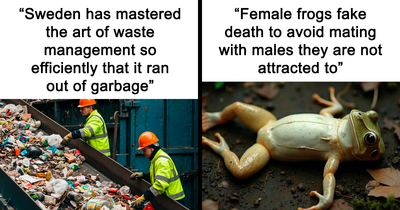 58 Stories From Around The World That Show There’s Always Something Unexpected Happening Out There