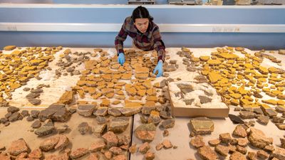 'World's most difficult jigsaw puzzle': Archaeologists piece together thousands of shattered fresco blocks from ancient Roman villa