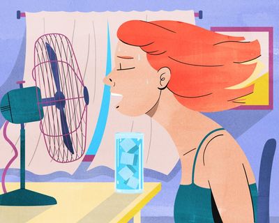 Get a fan and shut curtains: how to keep your home cool in a heatwave