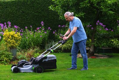 An expert guide to looking after your lawn and garden during a heatwave