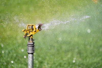What you should be doing to your garden during this heatwave
