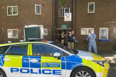 Woman charged over murder of 69-year-old in north London