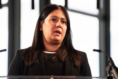 Minister insists no major welfare rebellion on the horizon after whip quits