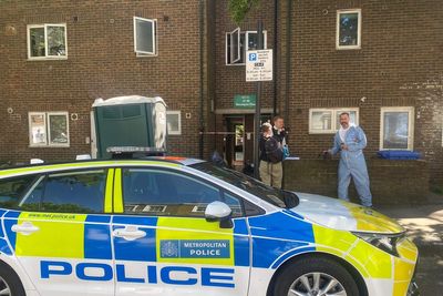Woman charged over murder of her 69-year-old sister in north London