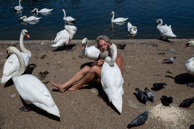 Homeless 'swan whisperer' banned from Hyde Park after fight over him hugging birds