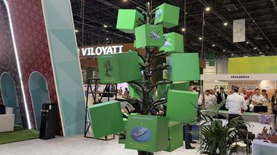 More trees, more tools: Uzbekistan steps up on Aral Sea recovery and support for green business
