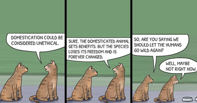 Artist Creates Philosophical Comics That Might Make You Look At Life Slightly Differently (20 New Pics)