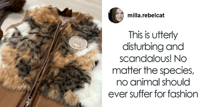 Mass Fury After Fashion Brand Is Caught Using Cat Fur In Vests Despite Labels Saying It Was Wool