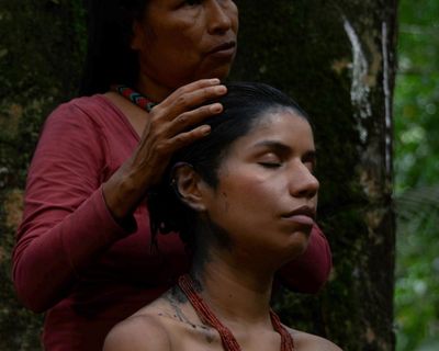 ‘Ayahuasca tourism’ is a blight on Indigenous peoples and our environment