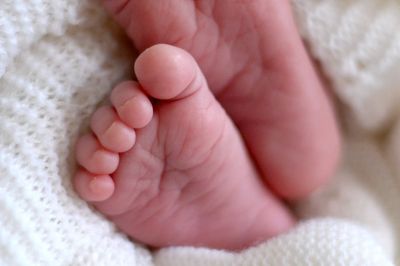 What are the laws around donating sperm? Telegram founder Pavel Durov reveals he has 100 children