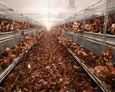 At last, a victory for rivers over megafarms: now councils can’t treat toxic waste as someone else’s problem