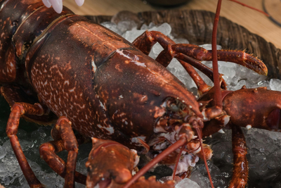 US Soldiers Post 'Steak and Lobster' Meal Videos — A Chilling Sign They May Be Headed to War?