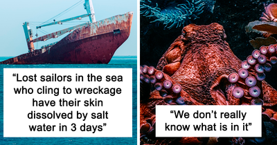 24 Of The Creepiest Facts About The Ocean You Might Wish You Never Knew, As Shared In This Online Thread