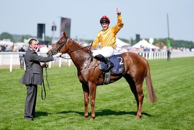 Underdogs shine at Royal Ascot with 33/1 and 25/1 outsiders winning on day four