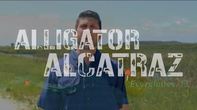 Florida AG Unveils Plan for Immigrant Detention Camp Surrounded by Alligators and Pythons