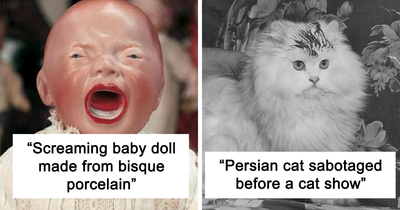 “The Museum of Ridiculously Interesting Things”: 15 Of The Weirdest Items Shared On This Facebook Page