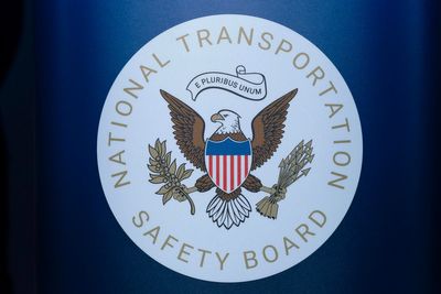 Pilot killed in small plane crash in North Carolina raised a wheel to avoid a turtle, NTSB says