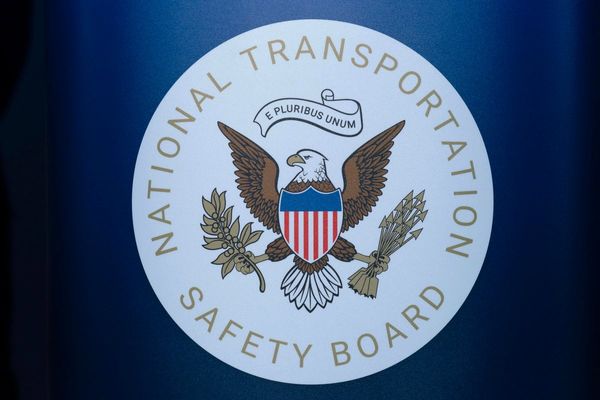 Pilot killed in small plane crash in North Carolina raised a wheel to avoid a turtle, NTSB says