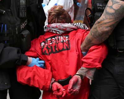 Palestine Action expected to be banned after vandalism of planes at RAF base