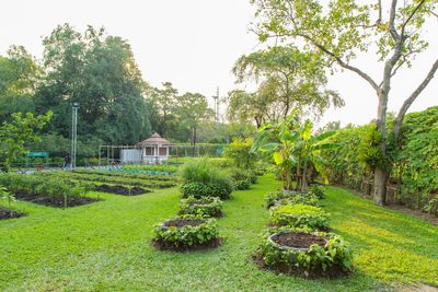 7 Yard Features That Could Be Illegal in Your Neighborhood by Next Year