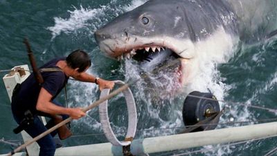The 10 best shark movies to bite into this summer