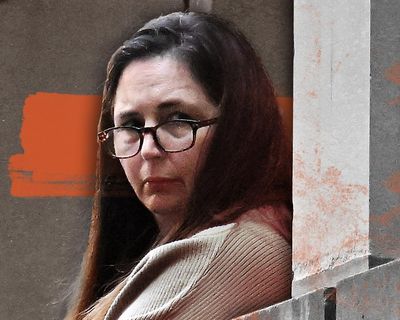 Accidental foraging, reasonable doubt and ‘lies upon lies’: Erin Patterson jury hears week of closing submissions in triple-murder trial