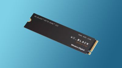 Just like many Windows 10 users, some SSDs are snubbing Windows 11, too