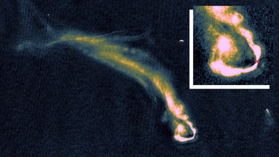This galaxy cluster has mysterious cosmic tendrils over 200,000 light-years long (image)