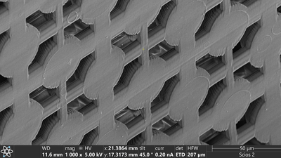 3D printed structures 10 times thinner than a human hair — 'extremely intense' laser pulses bring 3D printing closer to Ant-Man's Quantum Realm