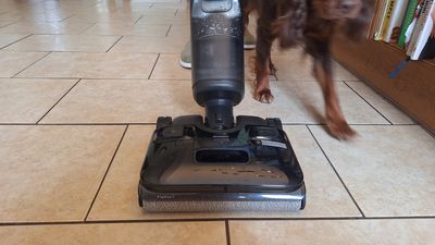 I've only been using it a day, but I can already tell this wet-and-dry vacuum combo is going to be a pet-owner's new best friend