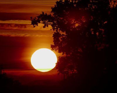 Current heatwave ‘likely to kill almost 600 people in England and Wales’