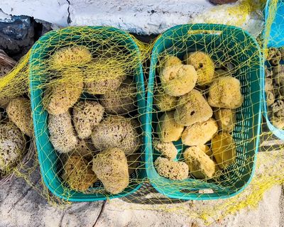 What strange device was found in 1901 by sponge divers? The Saturday quiz