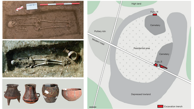 Women likely ruled in Stone Age China, DNA analysis of 4,500-year-old skeletons reveals