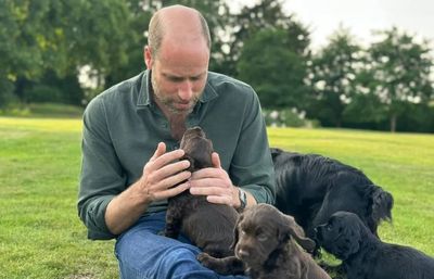 Princess Kate shares adorable photo of Prince William with four puppies to mark his 43rd birthday