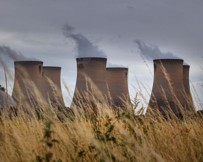 Ancient trees are shipped to the UK, then burned – using billions in ‘green’ subsidies. Stop this madness now