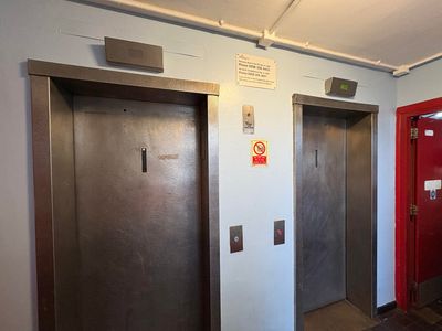 'Enough is enough': Hackney residents trapped in failing lifts as council blames nesting falcons