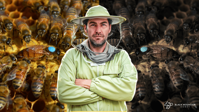Top beekeeper warns of huge bee swarms during UK heatwave as London faces 'nectar tsunami' risk