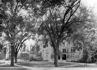 Harvard hired a researcher to uncover its ties to slavery. He says the results cost him his job: ‘We found too many slaves’