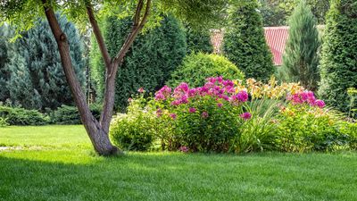 How to protect your lawn in a heatwave – experts highlight key steps for keeping grass healthy in high temperatures, plus 3 things never to do