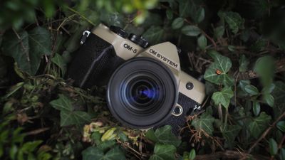 OM System OM-5 II sample photo gallery: See what this super compact camera system is capable of